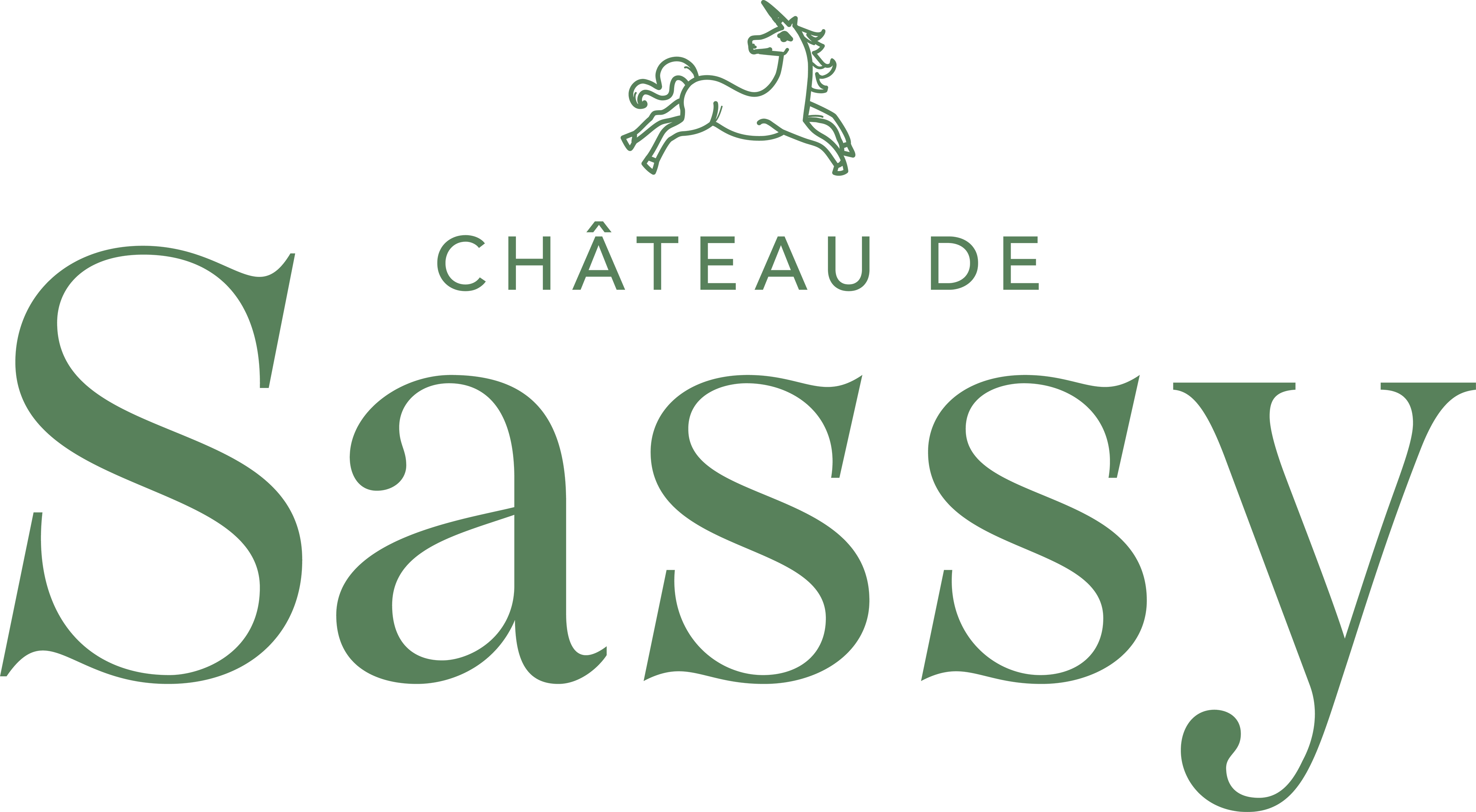 Logo Château de Sassy